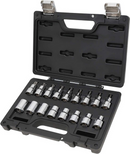 Beta Worker 923E-FTX/C17 17pce 1/2″Dr Male & Female Torx Socket Set