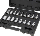 Beta Worker 923E-FTX/C17 17pce 1/2″Dr Male & Female Torx Socket Set